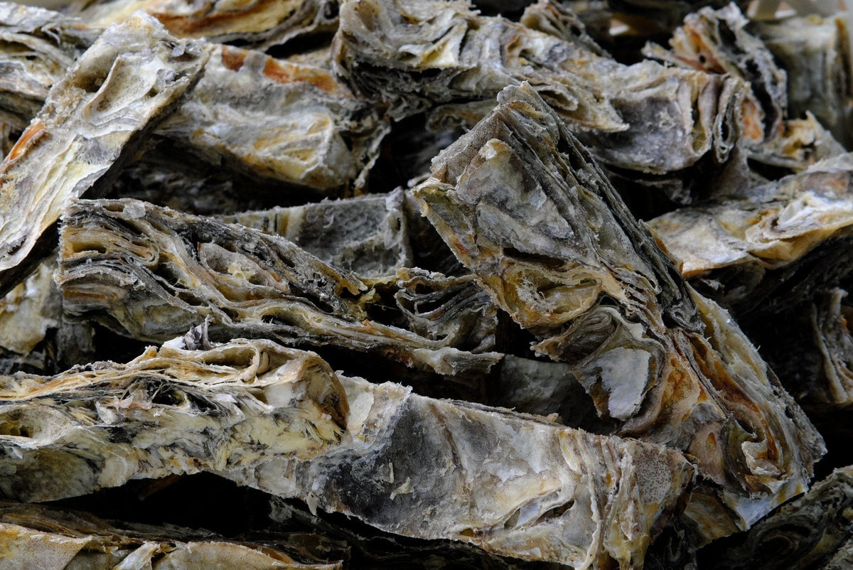 Fish Skins