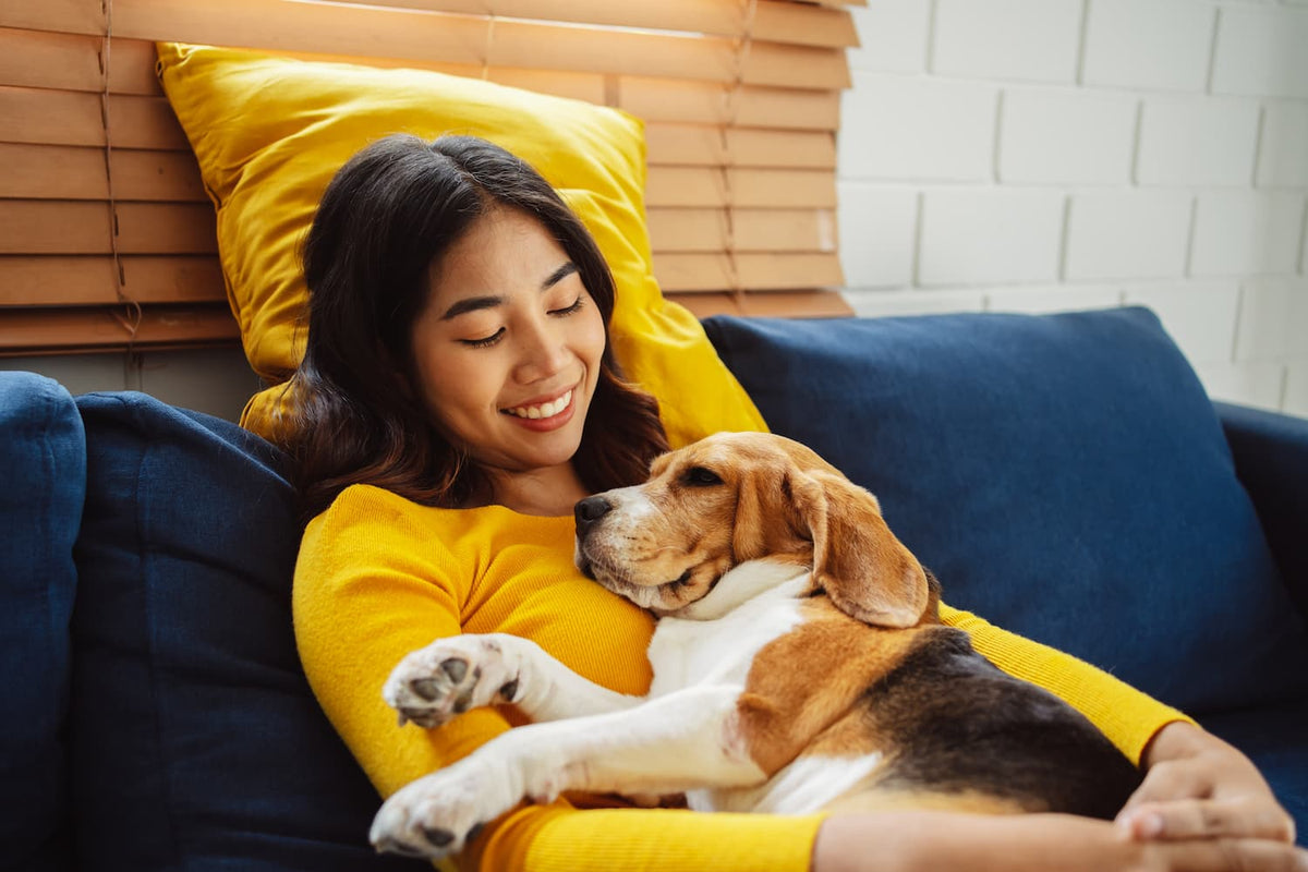 lady in yellow and dog on sofa