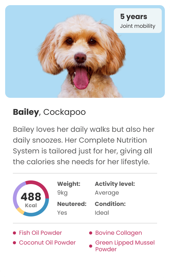 personalised dog food for cockapoo