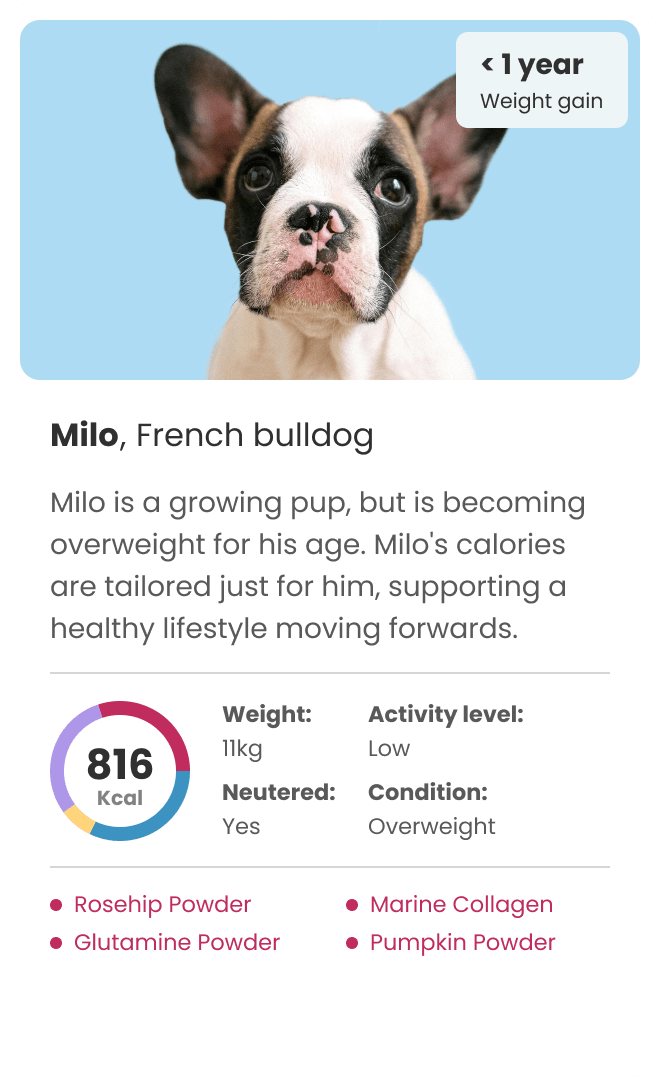 personalised puppy food for french bulldog