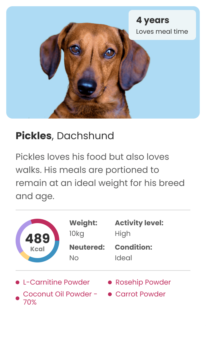 personalised dog food for dachshund who loves meals times