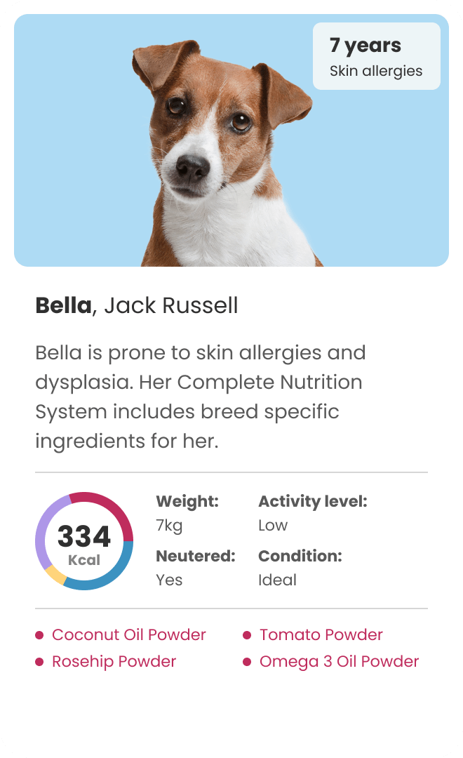 personalised dog food for jack russell with skin allergies