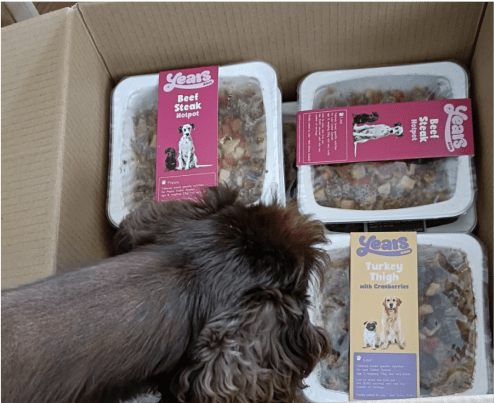 dog smelling delivery box filled with Years pre-portioned meals