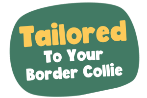 food for border collie icon