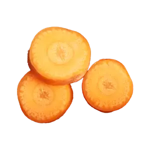 Carrot