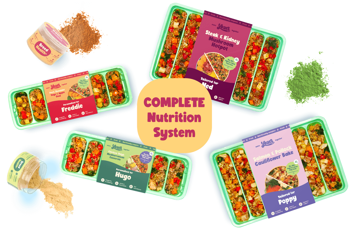 Full selection of meals and supplements in our nutritionly complete dog food subscription