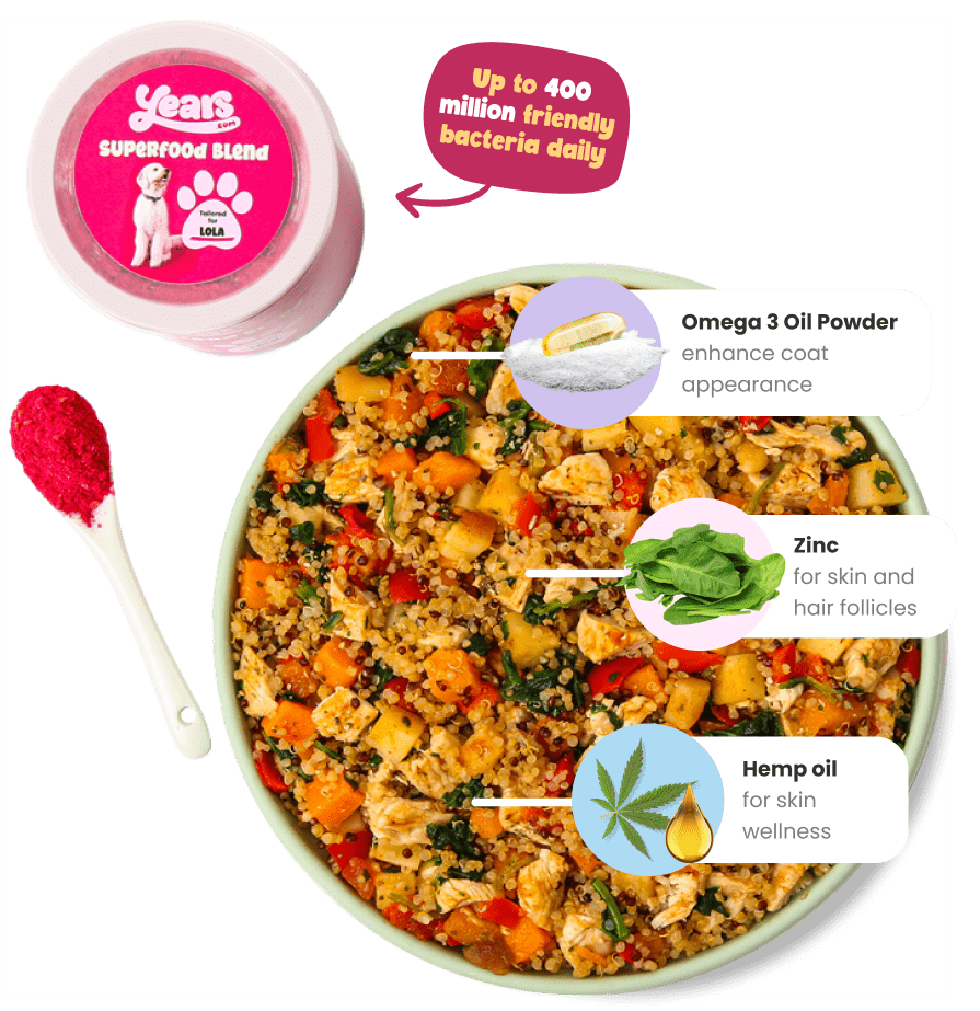 Meal Image