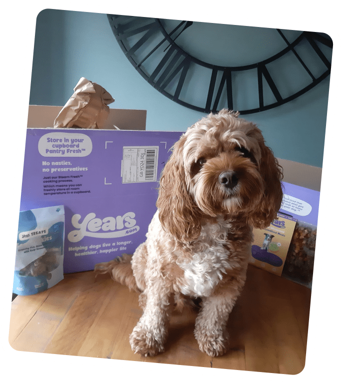 Spencer sat on table, waiting to open Years' next fresh food delivery box.