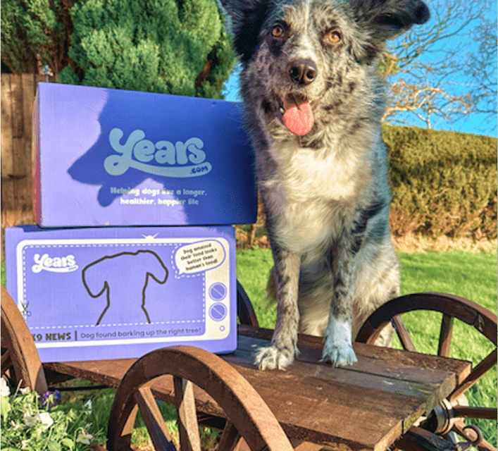 Rescue dog alongside two dog food delivery boxes of Years