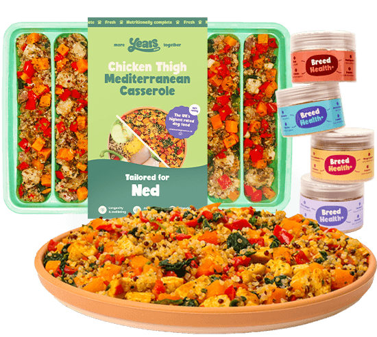 pre-portioned dog meals with high quality meats