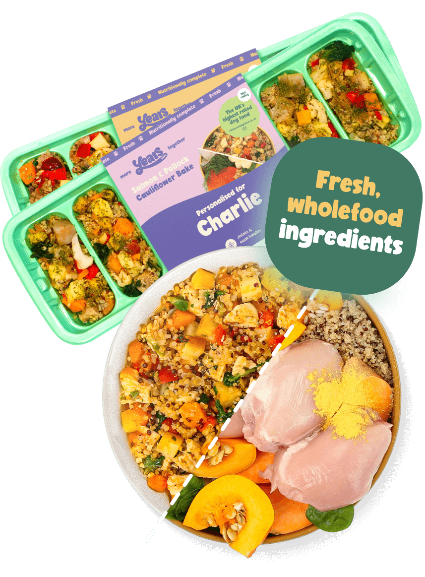 dog food with fresh wholefood ingredients