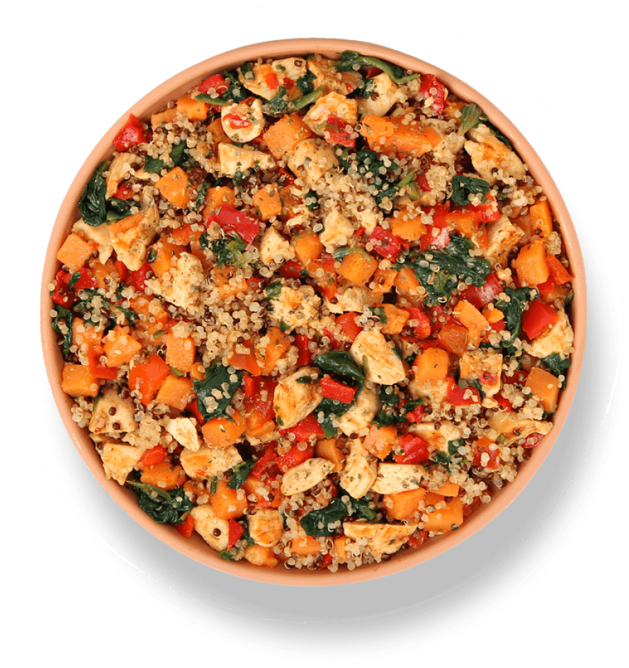 chicken thigh mediterranean casserole dog recipe