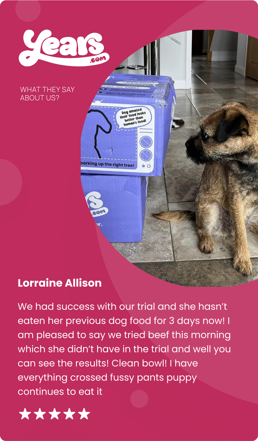 Fussy eater puppy looking at two boxes of fresh dog food, alongside positive review