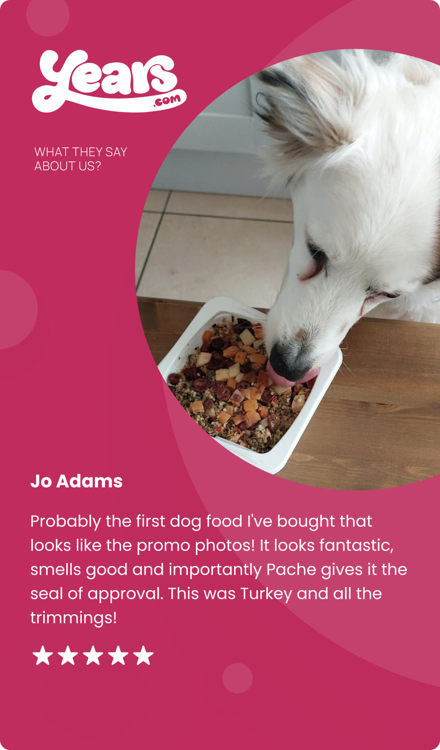 White dog Pache gives eating Years fresh dog food and giving it the seal of approval