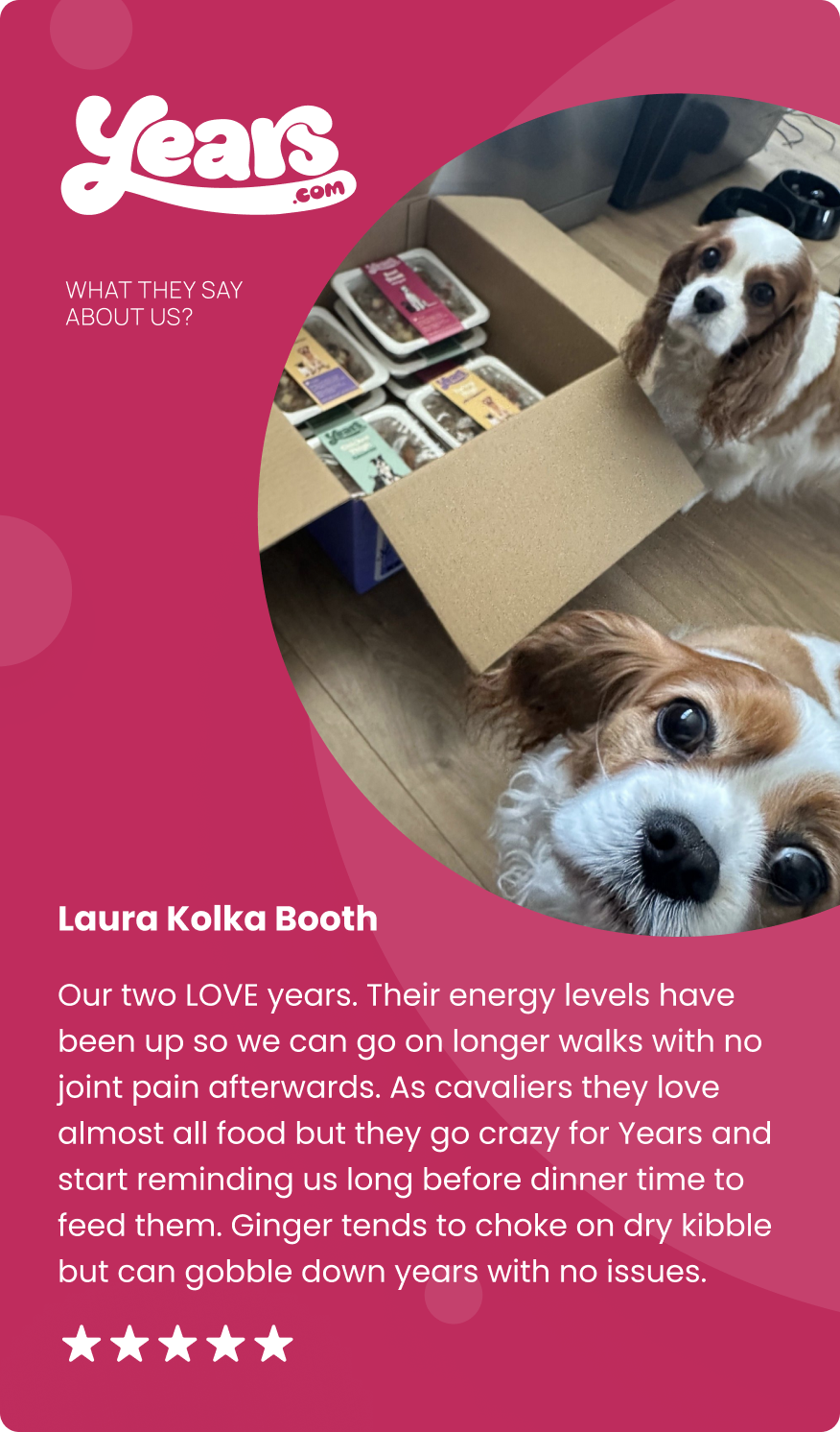 two king charles cavaliers review full package of top rated dog food, Years.