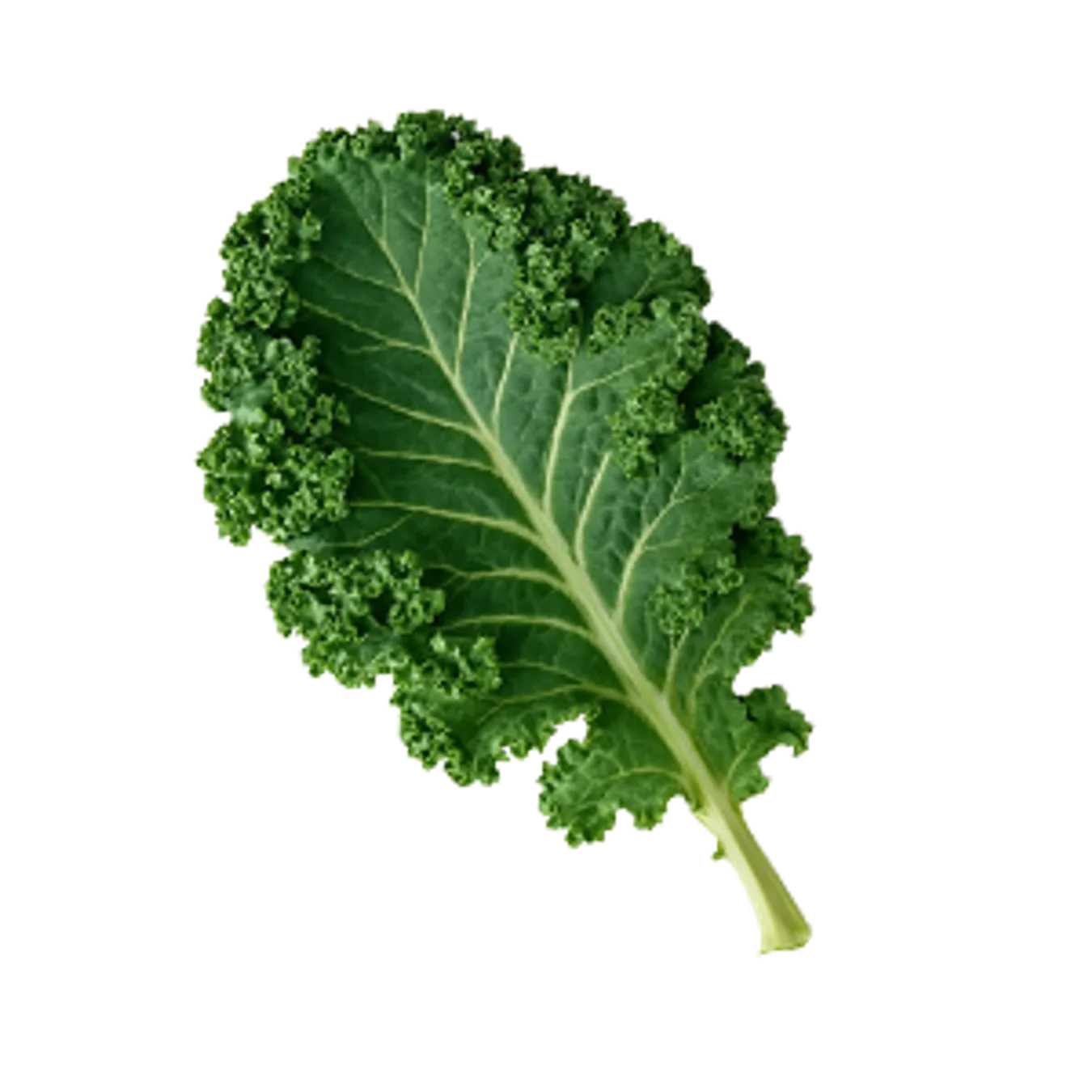Kale