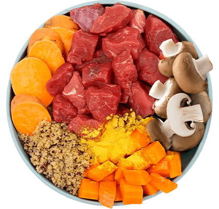 high quality dog meal with prime cuts of meat, seeds and vegetables