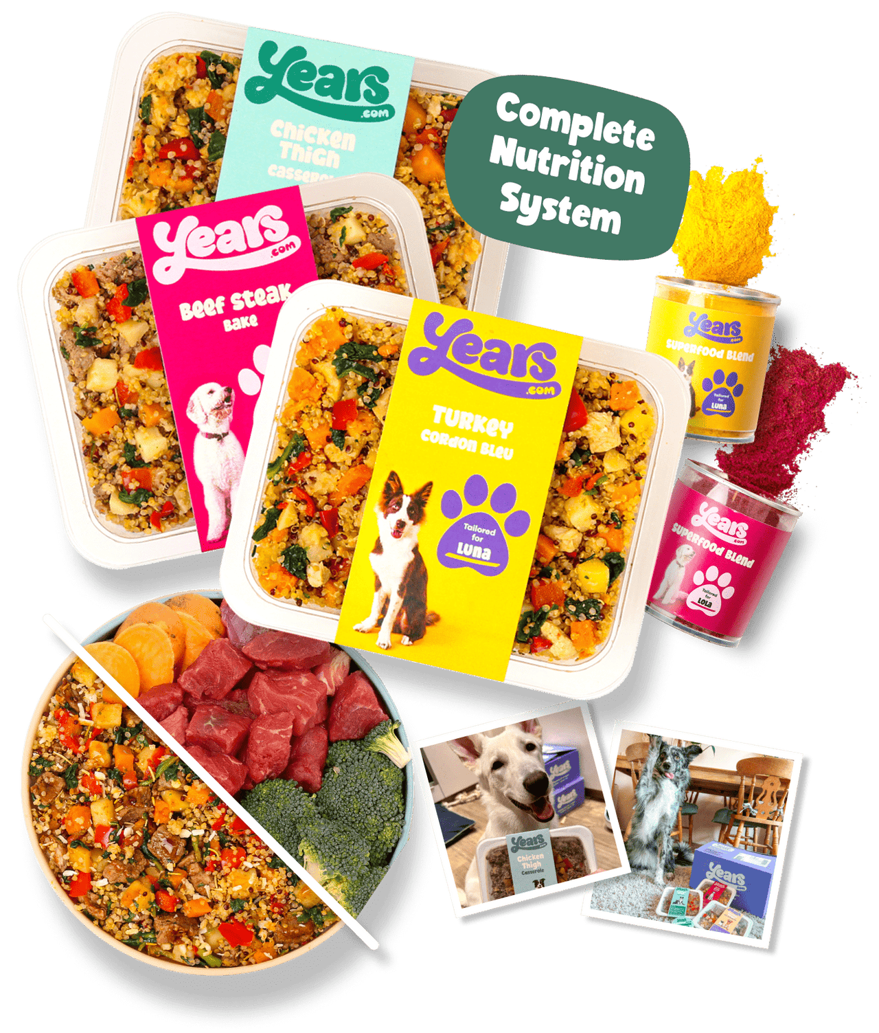 three tailored meals and supplement for complete nutrition system sample