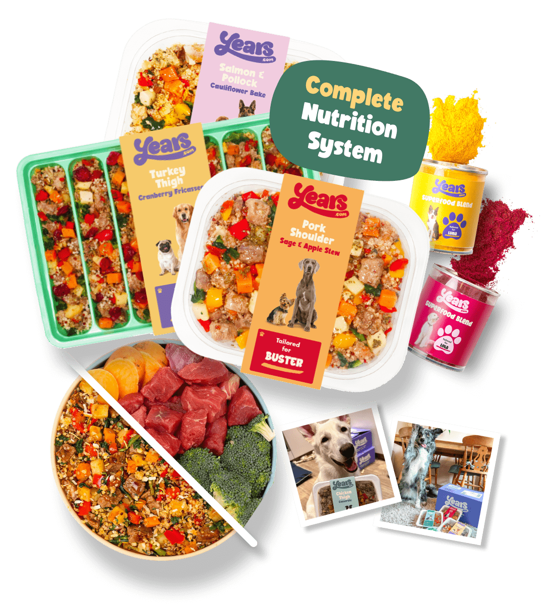 full dog food nutrition plan with monthly subscription cost