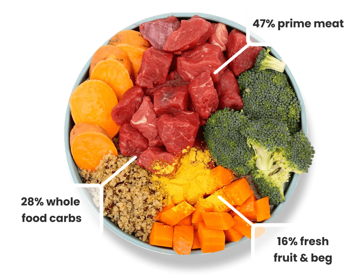 bowl of nutritionally dense dog food made of 47% prime meat, 28% whole food carbs and 16% fresh fruit & veg