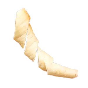 Parsnip