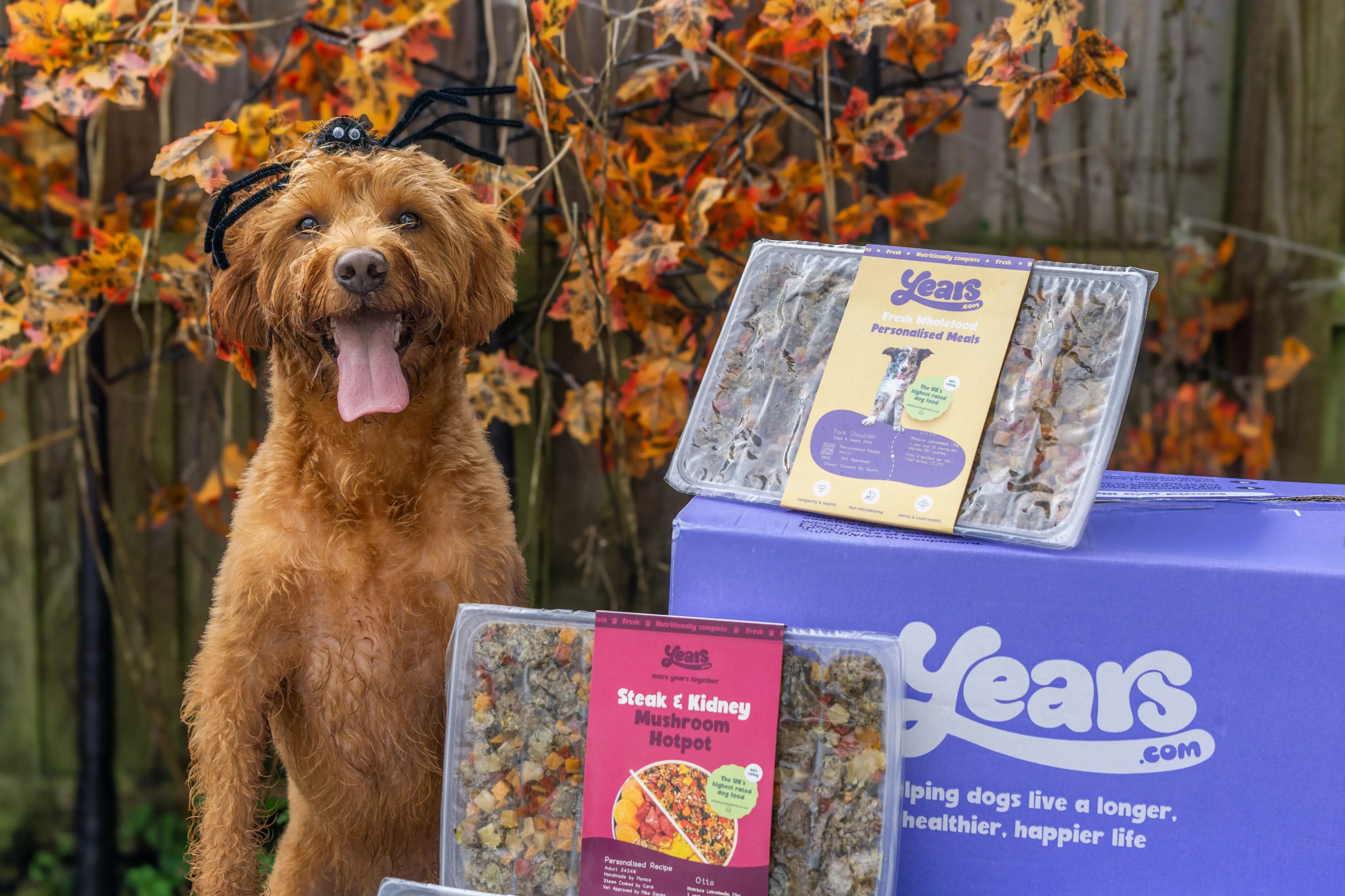 Meals Personalised To Your Dog