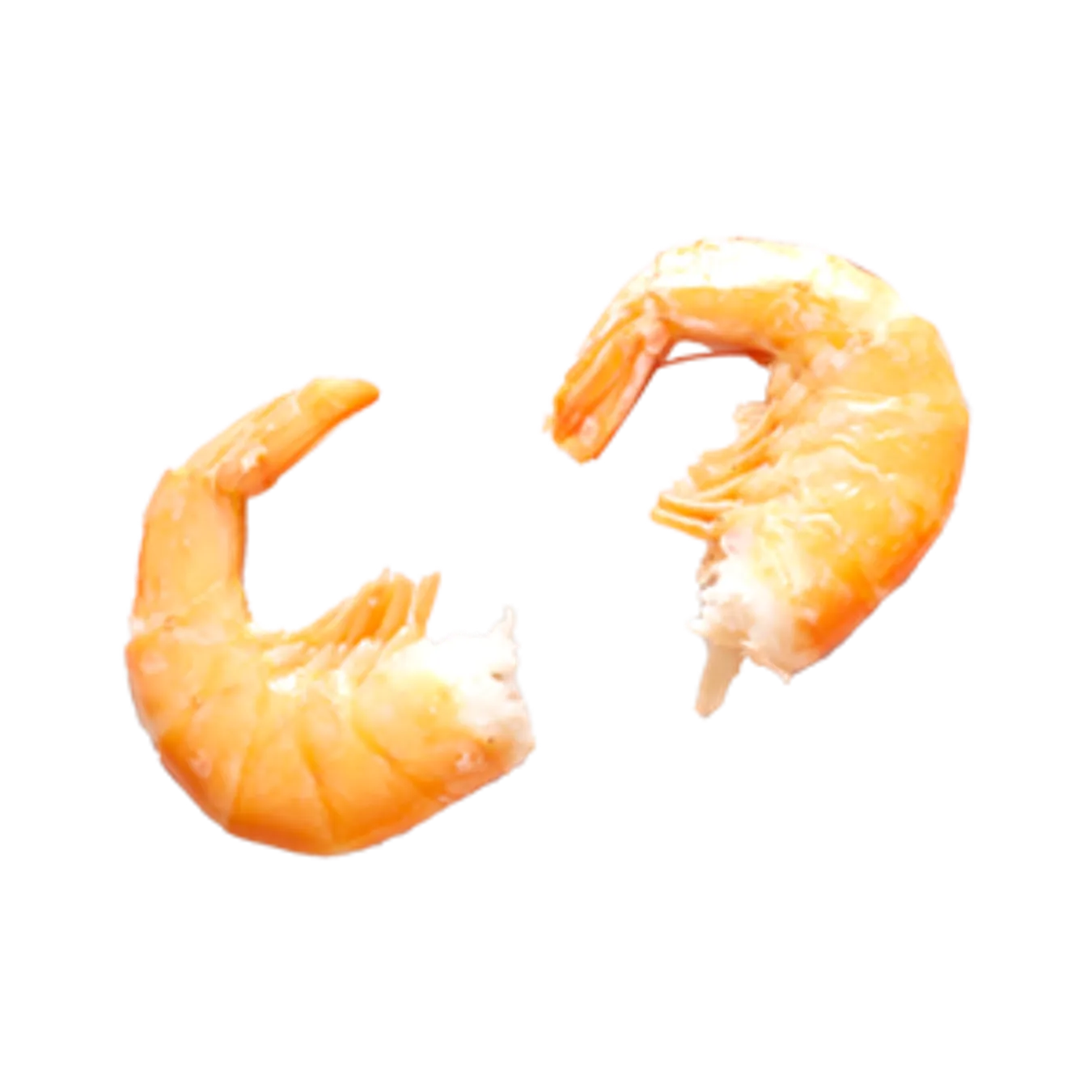 Prawns