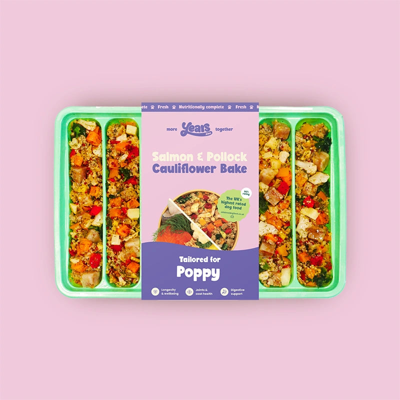 tray of hypoallergenic Salmon dog food