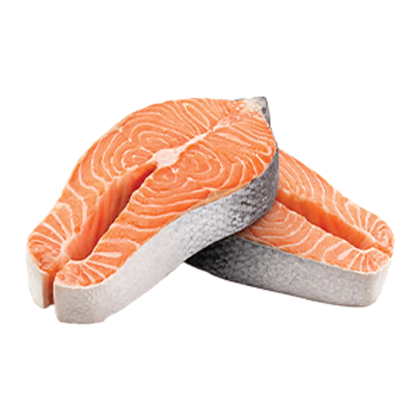 Salmon
