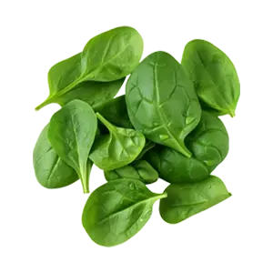 Spinach