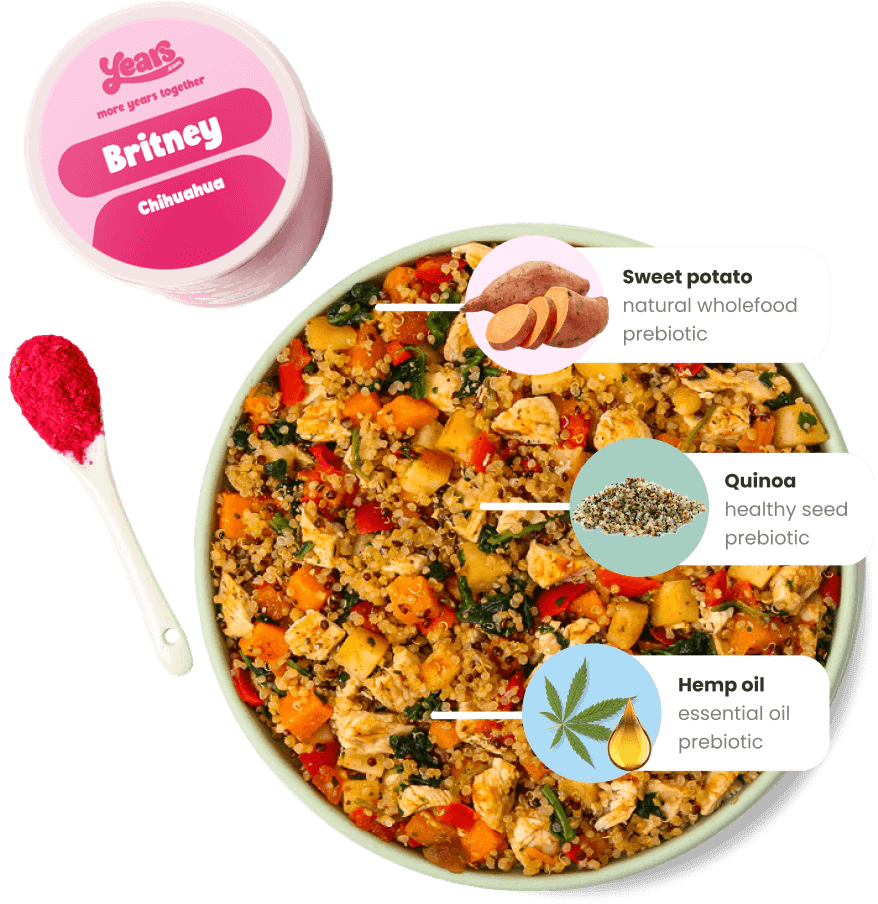 prebiotics & probiotics for your dogs gut microbriome