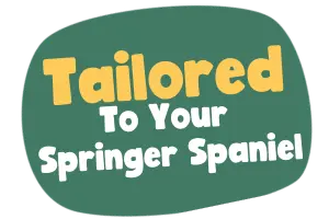 tailored to springer