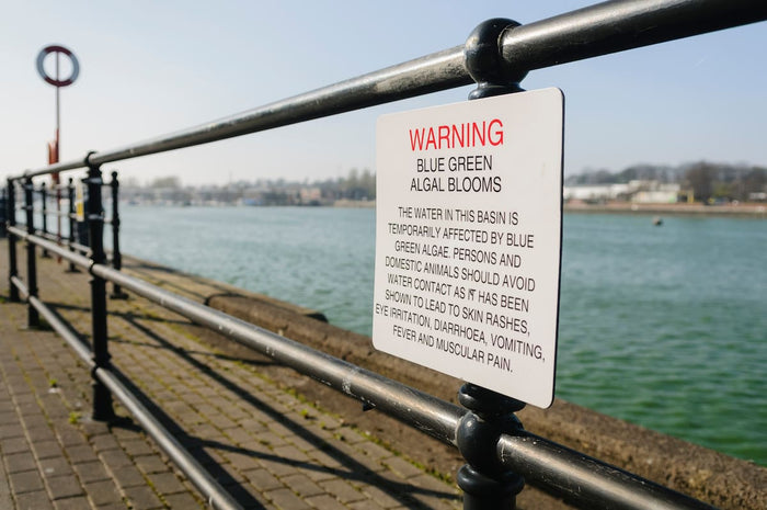 Warning sign for blue-green algae