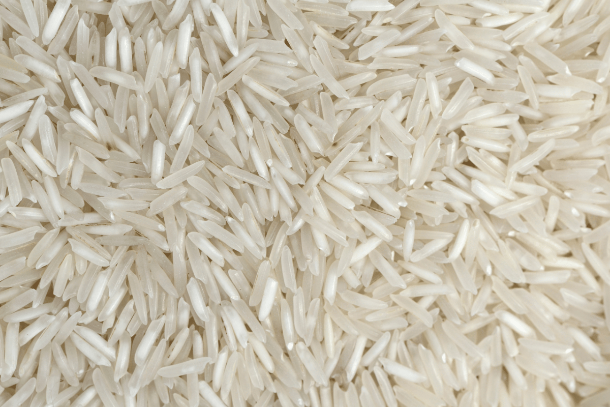 Can dogs eat rice?