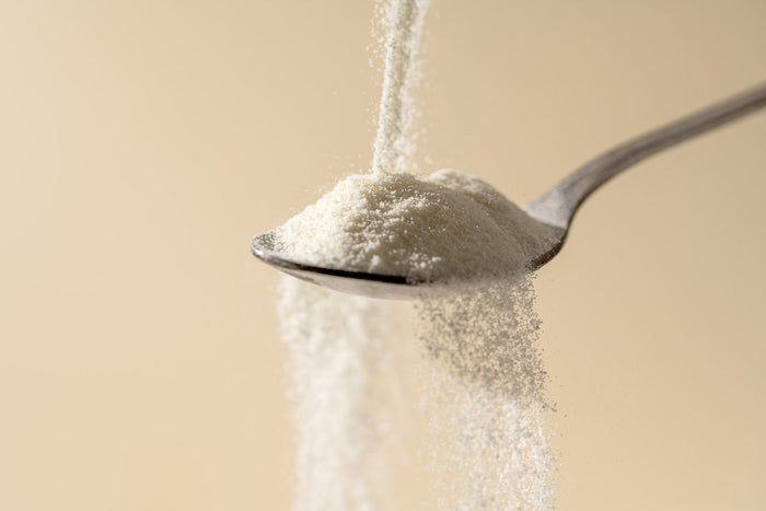 Collagen powder being poured onto a silver spoon in front of a beige background