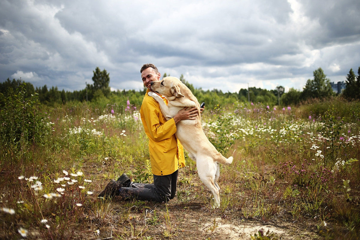 dog jumping up to owner licking his face