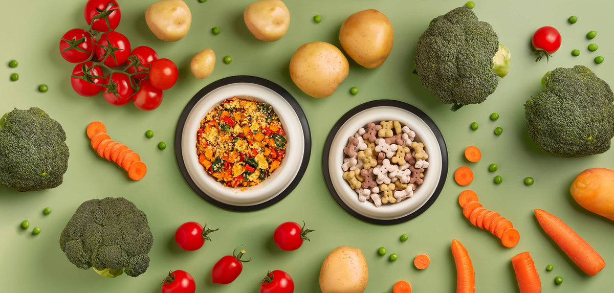 bowls of fresh dog food and kibble dry dog food