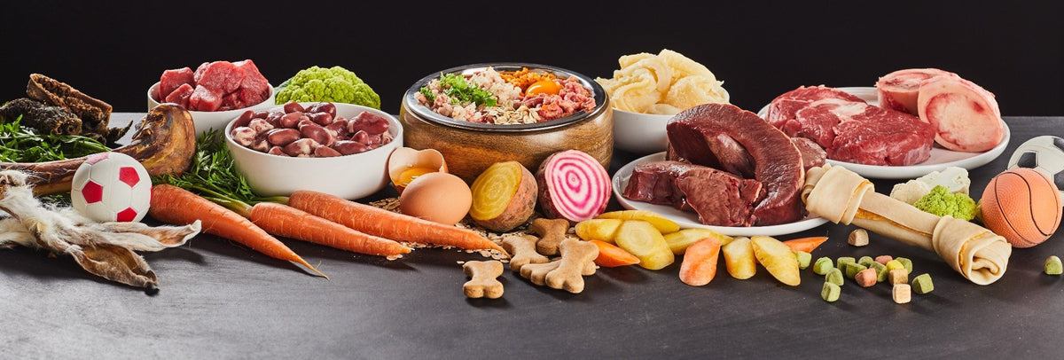 Fresh and raw dog food ingredients