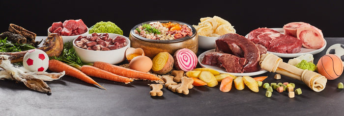 Fresh and raw dog food ingredients