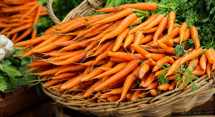 high fibre foods for dogs - adding natural fibre