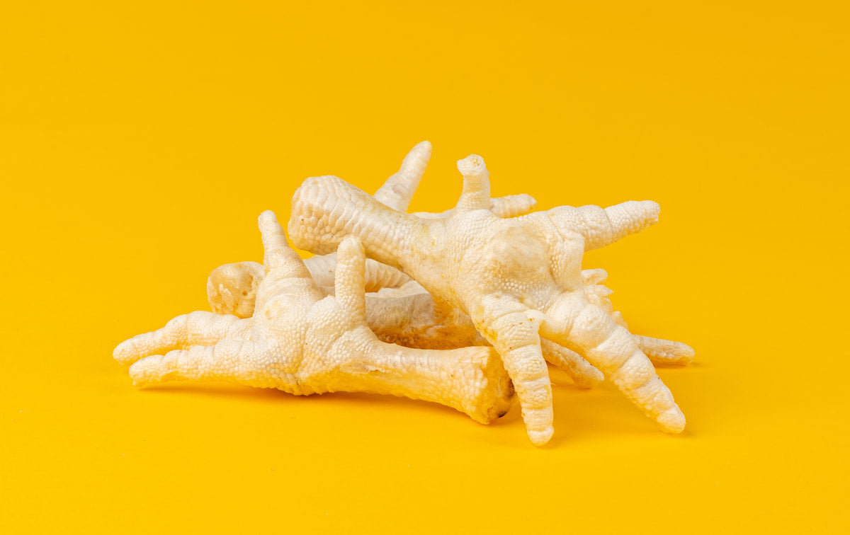 Chicken feet on a yellow background