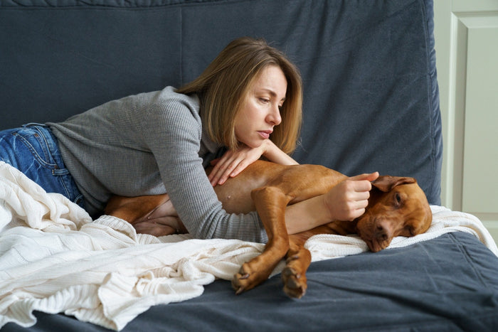 Dog Feeling unwell & not eating