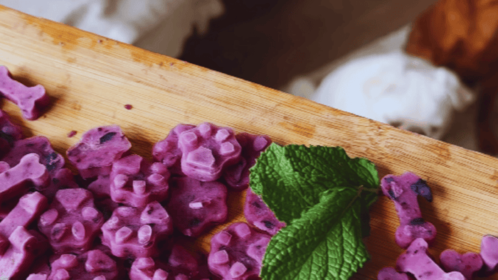 Dog with purple fresh breath treats on board