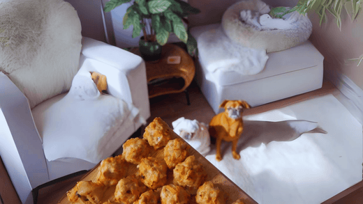 dog with homemade meatballs