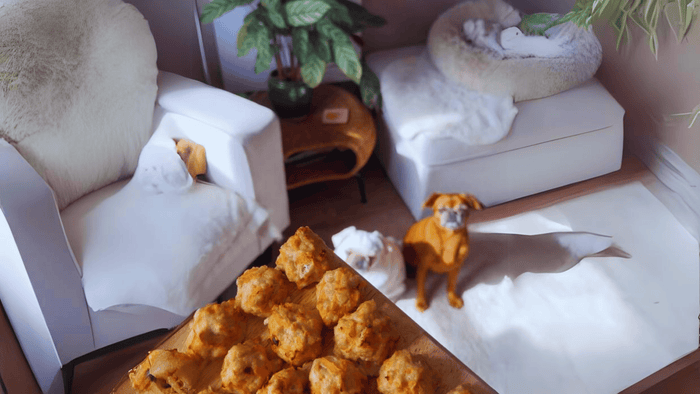 dog with meatballs