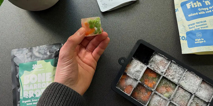 hand with frozen veggie scrap broth cube