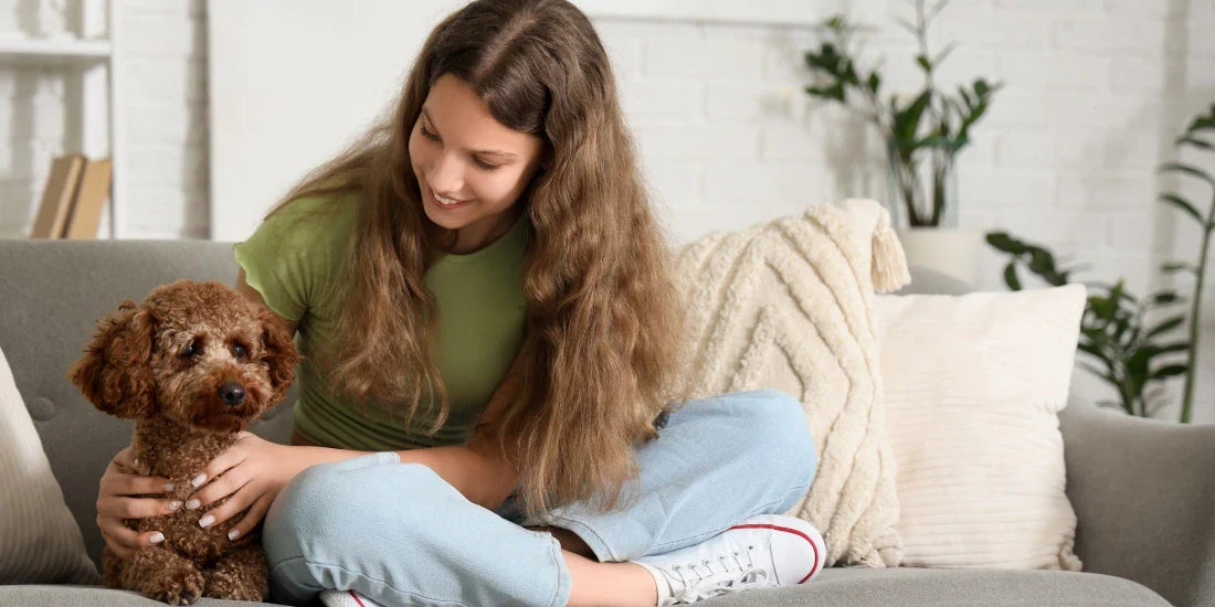 Puppy and woman on sofa
