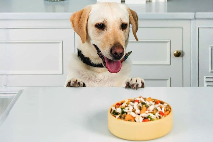 Fresh dog food