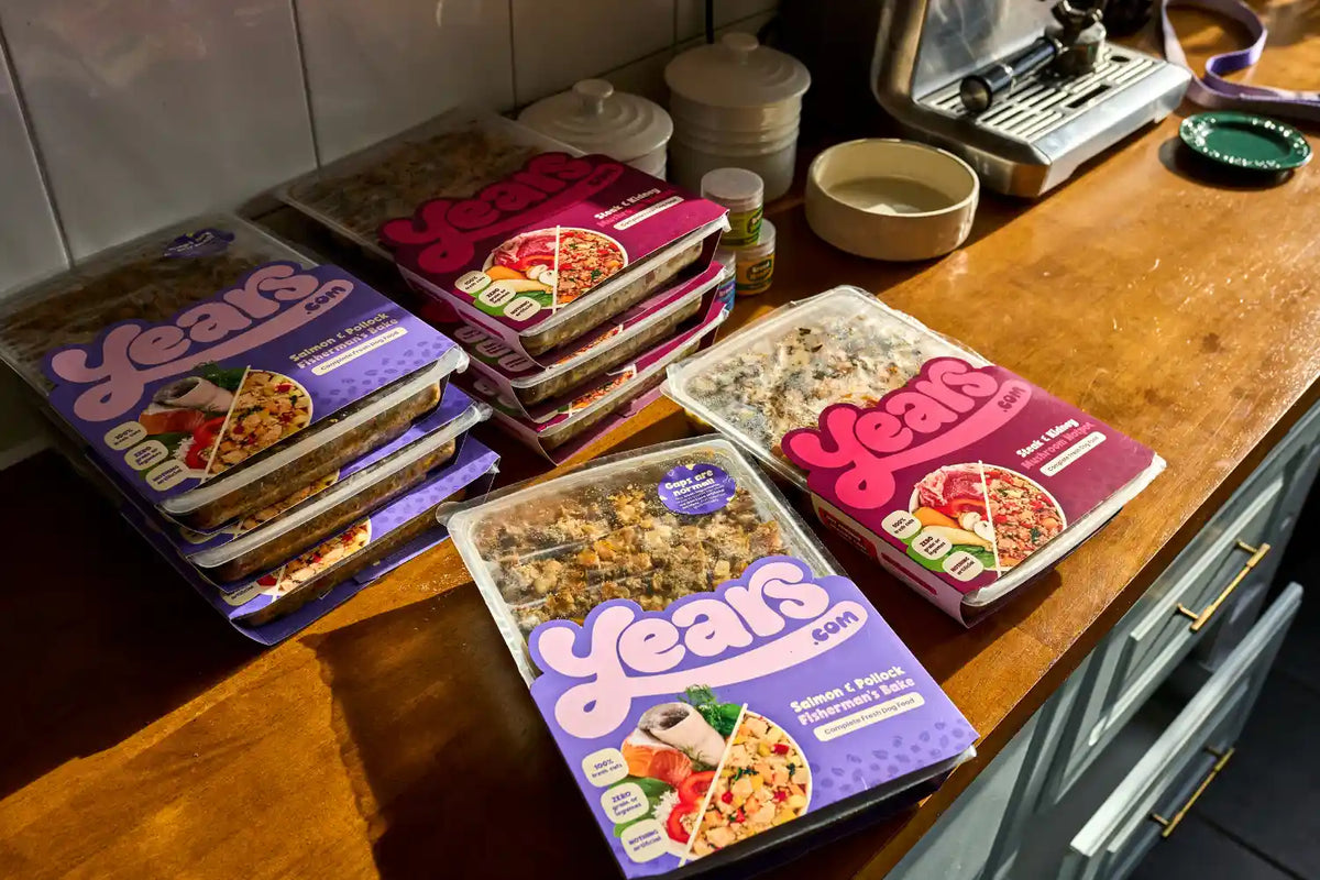 years fresh dog food meals