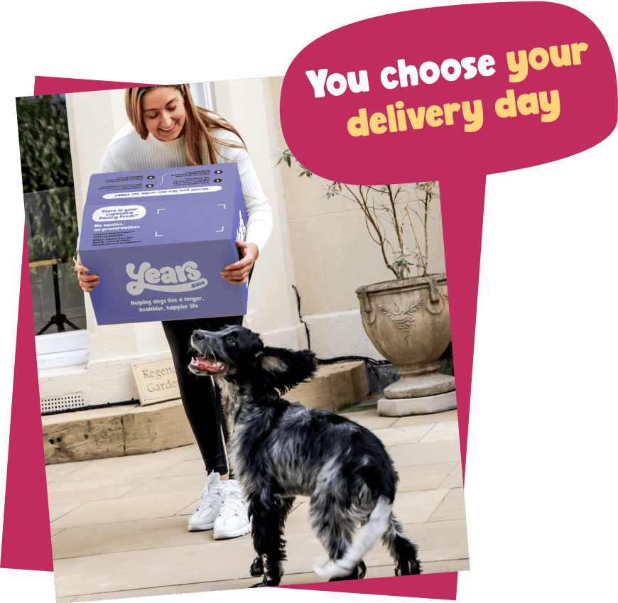 Women and dog getting fresh dog food delivered